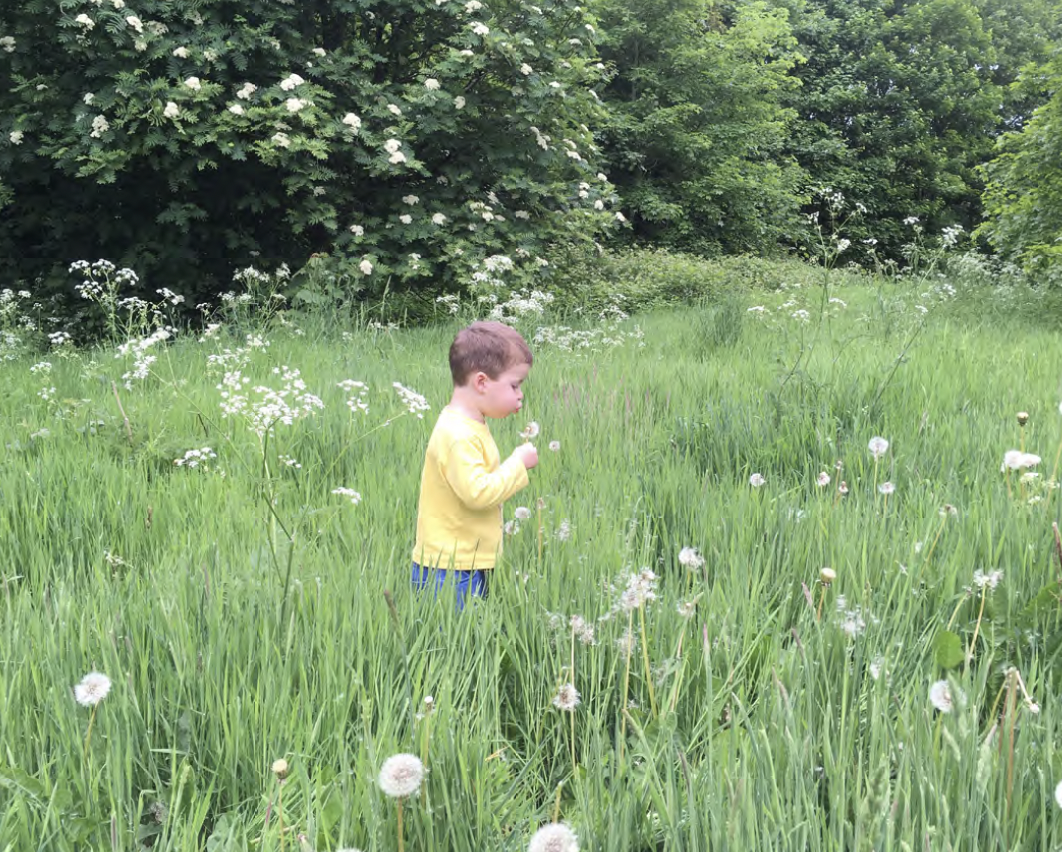 Young child walks through a meadow.