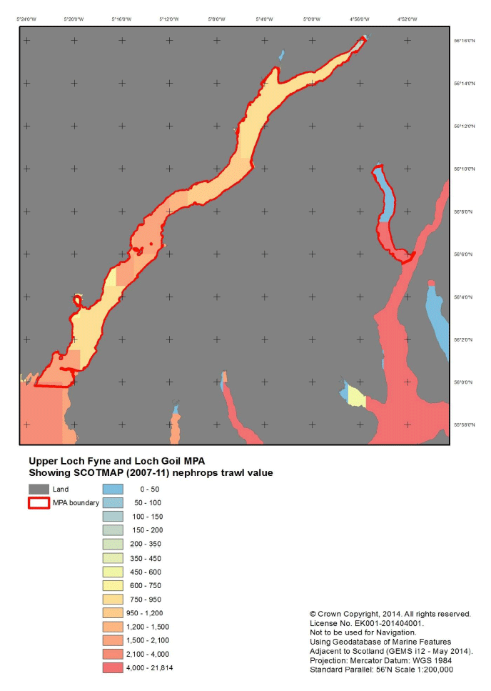Figure P11: SCOTMAP (2007-11) Nephrops trawl value