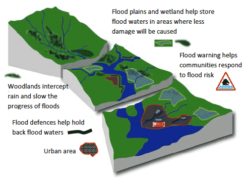 Figure 1 Examples of actions to tackle flood risk