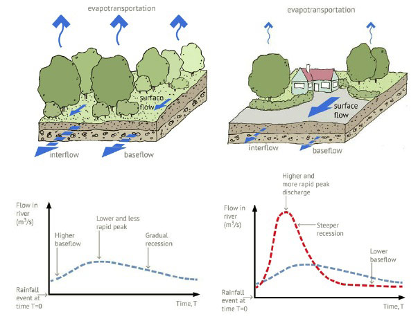 Figure 4. Overview of surface water flows in a natural catchment and in a developed catchment, illustrating the impact of urbanisation showing increased surface water flows and increased river flows.