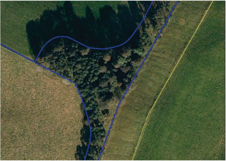 In this example the feature is trees. The area of ineligibility is defined by the parcel boundary, which is also a TOID, and the percentage ineligible can be determined.