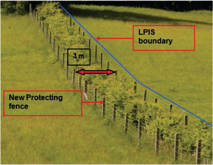 In this case, the Land Parcel Identifier boundary is on the original fence (right-hand side)