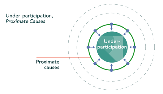 Circular diagram illustrating the proximate causes of under-participation. The diagram has a central circle representing under-participation, with three outer circles representing causes. The closest circle to under-participation in labelled proximate causes, with arrows directing towards the resulting under-participation. 