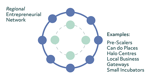 2 concentric circles with 8 dots along the outer layer representing business types in the regional entrepreneurial network. Examples of supports given in this layer are pre-scalers, can do places, halo centres, local business, gateways, and small incubators