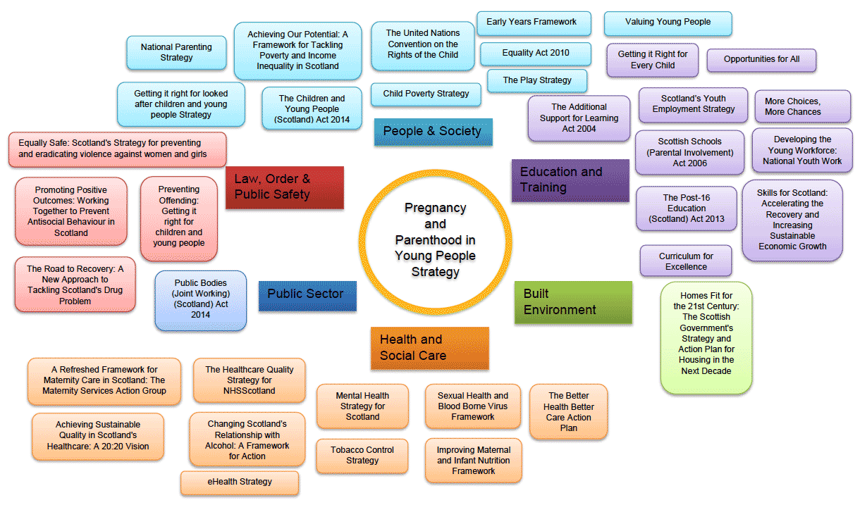 The PPYP Strategy policy landscape