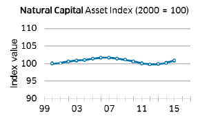 Natural Capital asset Index (2000=100)