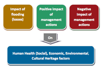 Figure 2 Range of impacts that should be considered in appraisal