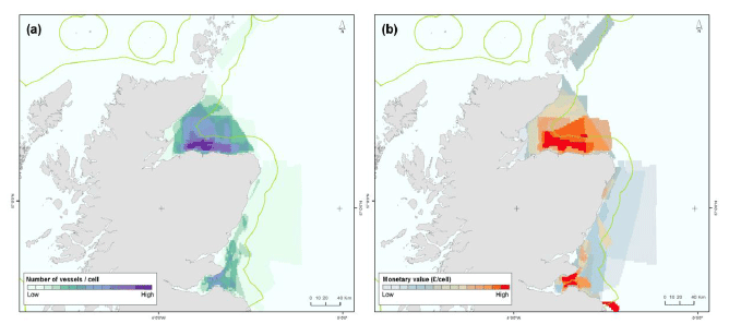 Figure 8: Vessel number (a) and monetary value distribution (b) of vessels deploying trawl as fishing gear with various target species. Includes common squid predominant target species, as well as haddock, plaice and other flatfish.