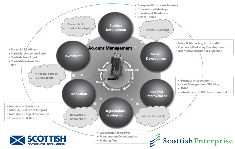 HIE/SE Account Management –Account Team Approach