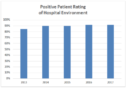 Patient Rating of the Hospital Environment