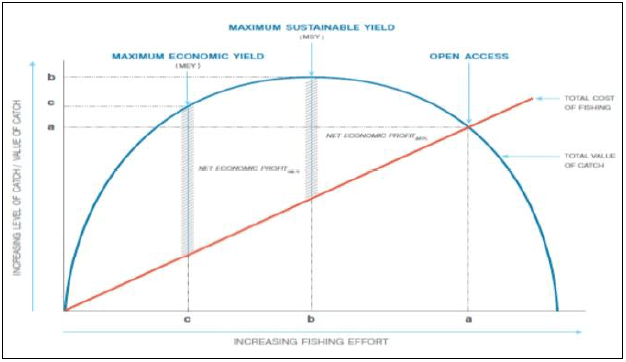 Figure 1: Maximum Economic Yield & Maximum Sustainable Yield