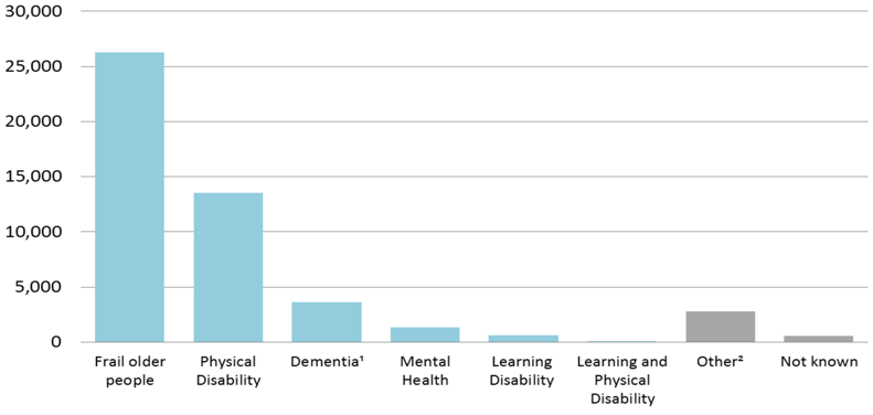 Figure 17: Home Care Clients aged 65+ by Client group and age group, 2016