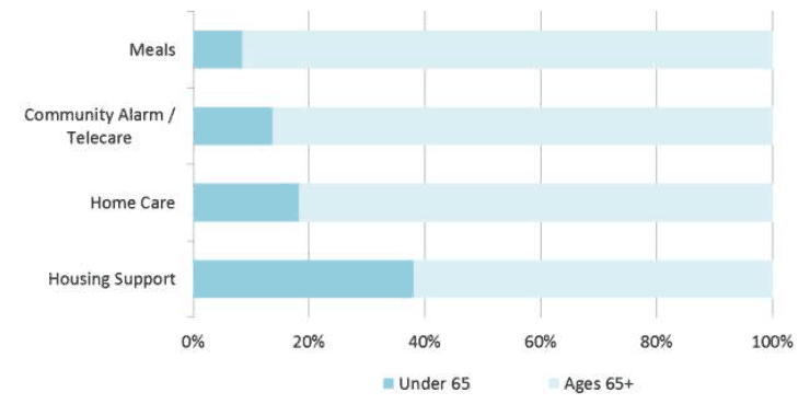 Figure 10: Key services by age, 2017