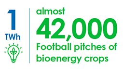 To produce 1 terawatt hour requires almost 42,000 football pitches of bioenergy crops  